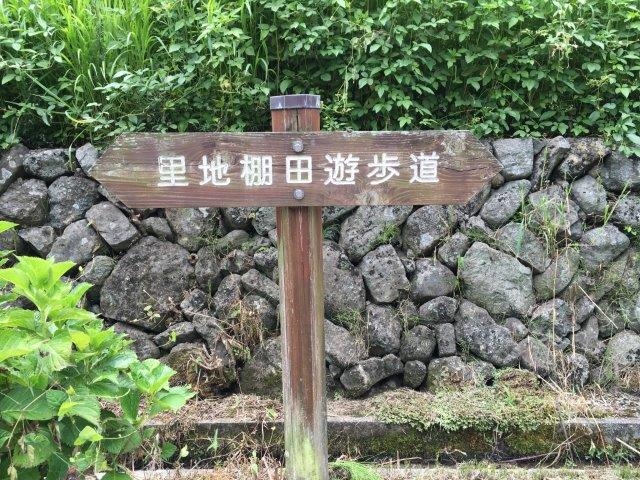 歩いて楽しむ「ほたるみ橋公園の遊歩道」