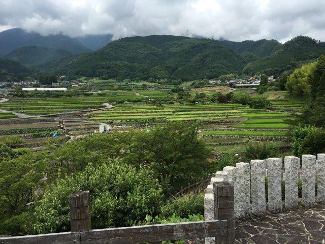 ここから遊歩道へ降りられます