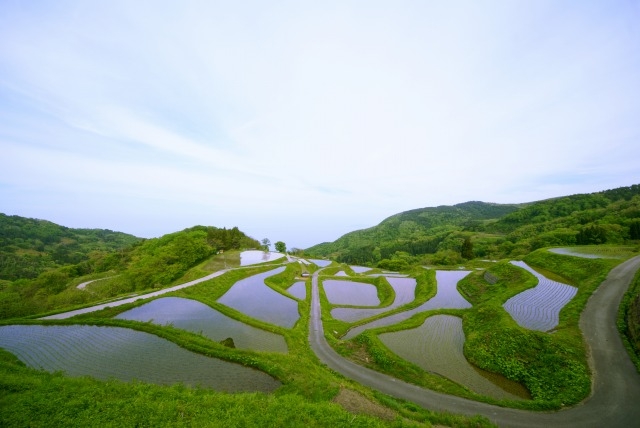 「棚田里山」を歩こう