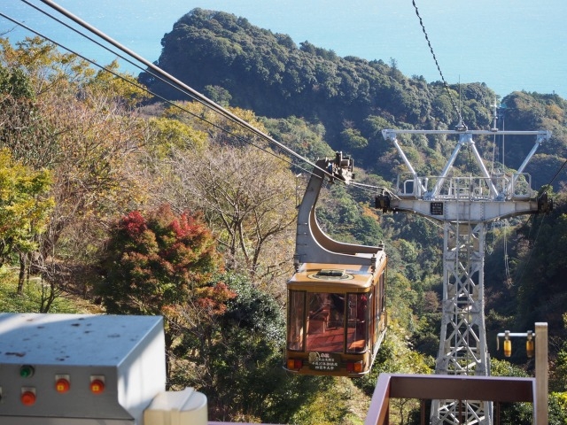 二鷹「久能山東照宮」天下人家康公の鷹