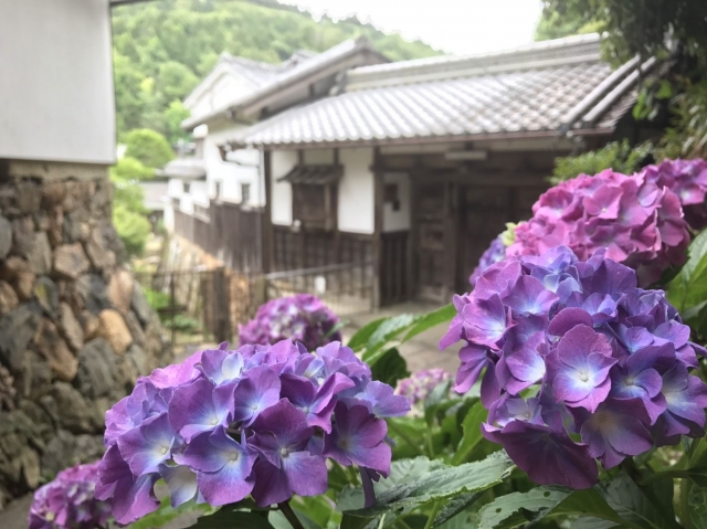 柳谷観音・楊谷寺へのアクセス方法