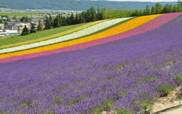 1位は、北海道　©iStock