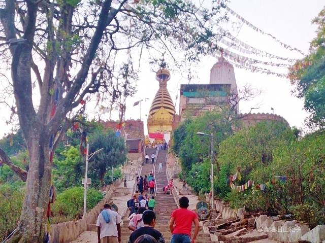 「スワヤンブナート寺院」の表参道にある、約400段の急な階段