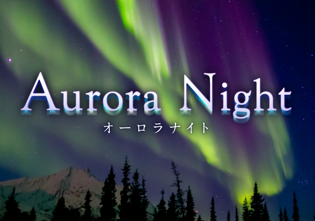 オーロラと星空に癒される『Aurora Night』