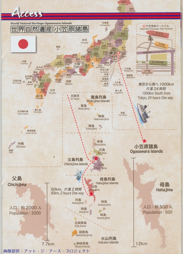 フェスの始まりは竹芝桟橋から