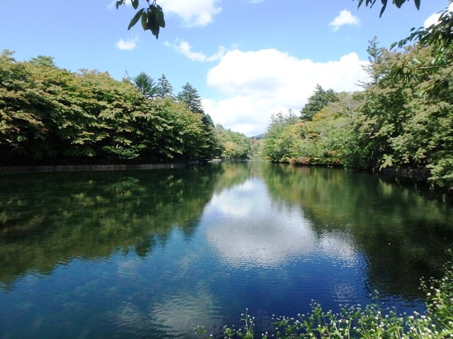 紅葉スポット、雲場池とは!?