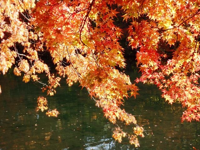 イベント満載！　軽井沢紅葉まつり2019