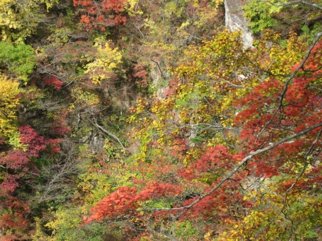 紅葉の定番スポット　鳴子峡