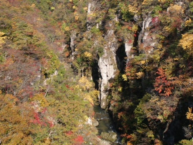 大峡谷の紅葉