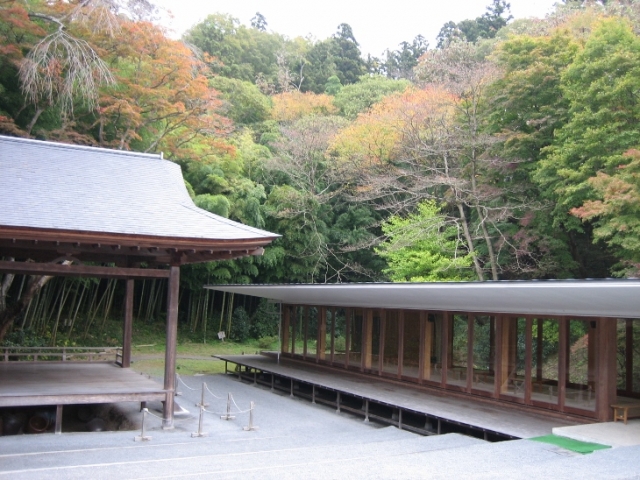 竹林と紅葉と森舞台