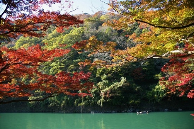 観る者を虜にする嵐山公園 亀山地区