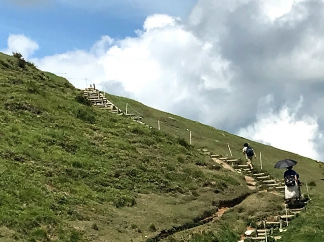 自由な組み合わせで山のハイキングを楽しもう