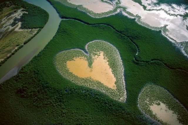 Coeur de Voh en 1990, Nouvelle-Calédonie, France (20°56’ S –164°39’ E) ©Yann Arthus-Bertrand