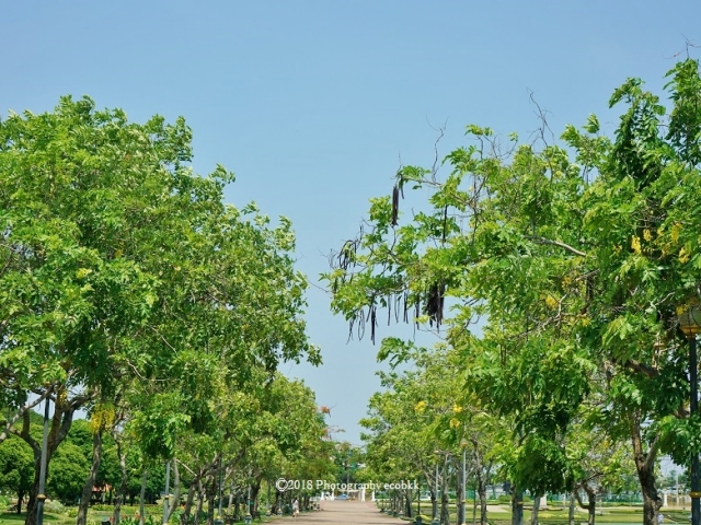 ラマ9世公園とは!?