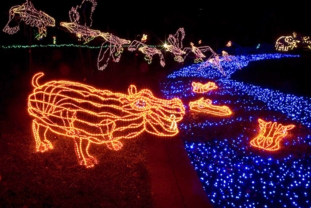 スポット3：光の動物たちがお出迎え！ 動物園のクリスマス