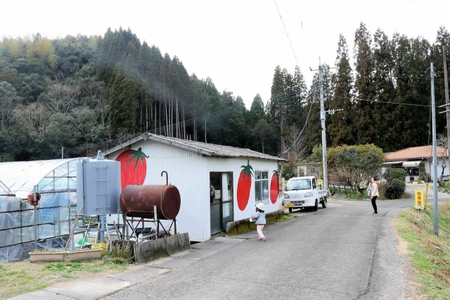 北之迫農園（鹿児島県薩摩川内市）