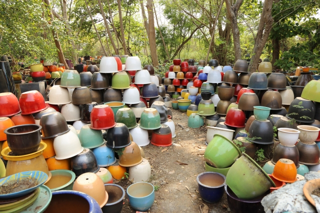 カラフルな作品が隙間なく並ぶ敷地