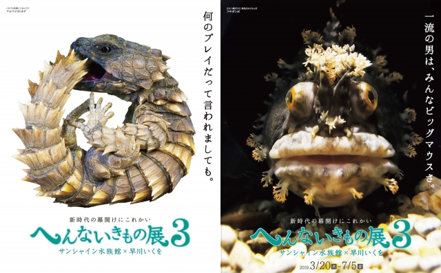 「へんないきもの展3」が3/20から開始!