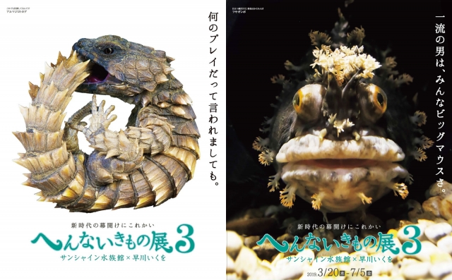 「へんないきもの展3」が3/20から開始！