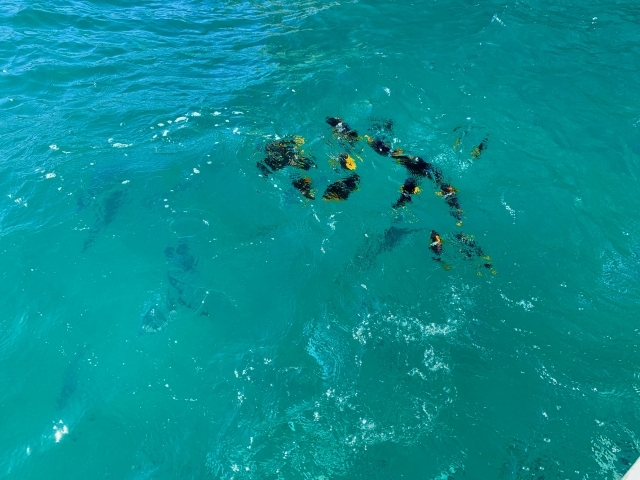 透明度の高いエメラルドグリーンの海