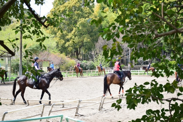 乗馬センターで乗馬のレッスン中