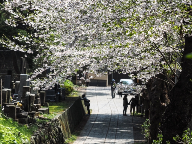 松前公園の寺町で