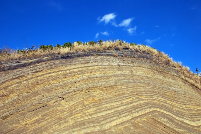 本土からすぐの近場にある大いなる自然の島・大島