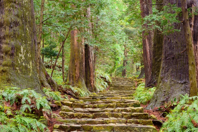 和歌山ロケを敢行