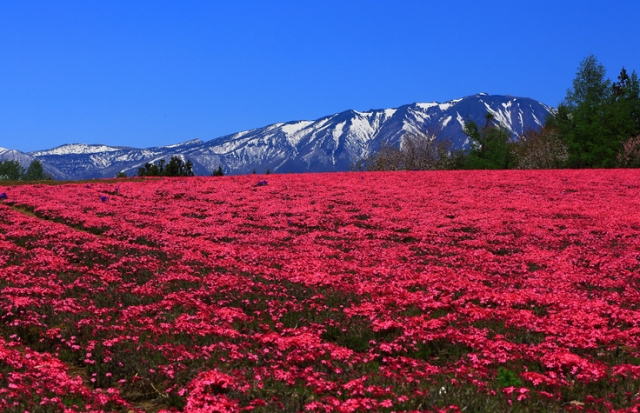 一度は行ってみたい絶景スポット