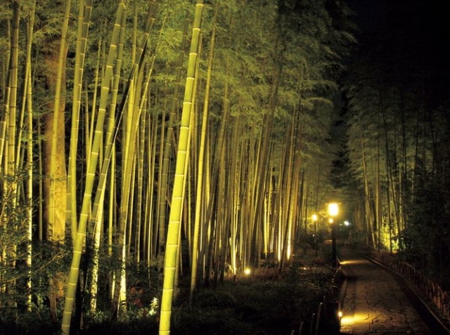 10位:竹林の小径(静岡県)