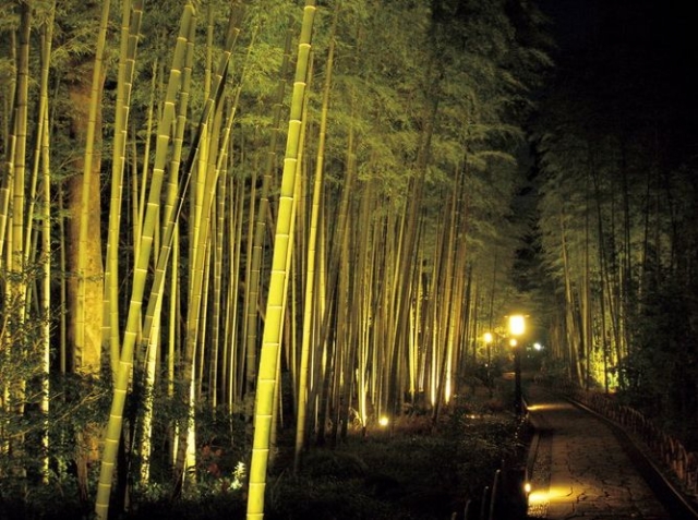 10位：竹林の小径（静岡県）