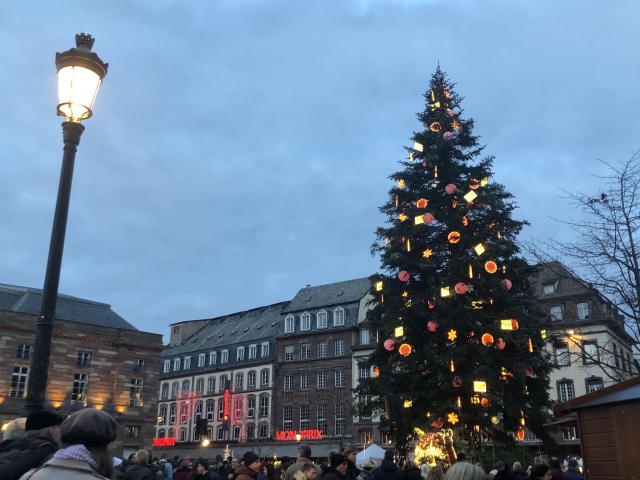 クレベール広場のクリスマスツリー
