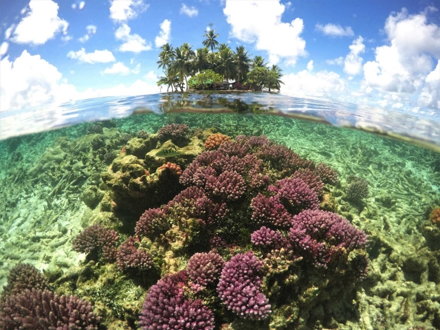 ジープ島とサンゴ