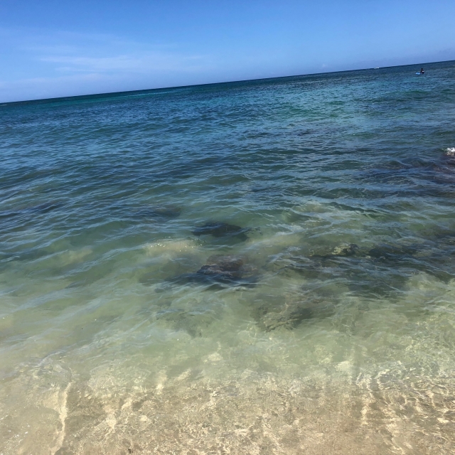 Chuns Reefでウミガメ発見!(海の中の黒い影がそれ)。あえて近づきませんでした。