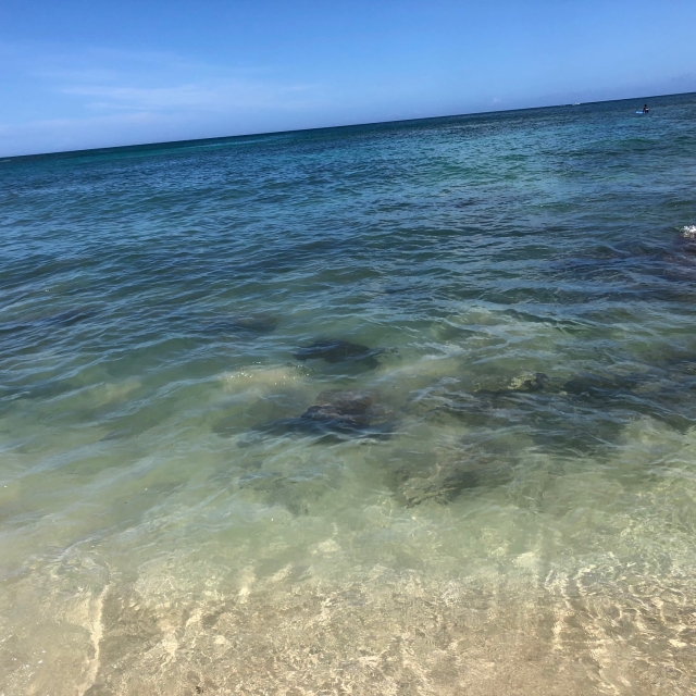 Chuns Reefでウミガメ発見！（海の中の黒い影がそれ）。あえて近づきませんでした。