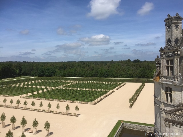 見どころ（5）フランス式庭園