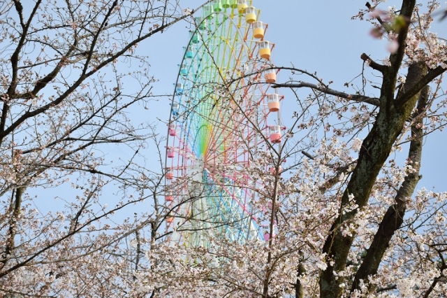 大阪の遊園地といえばひらパー