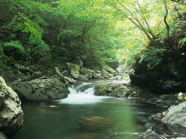 多摩源流にあたる渓谷（画像・小菅村提供）