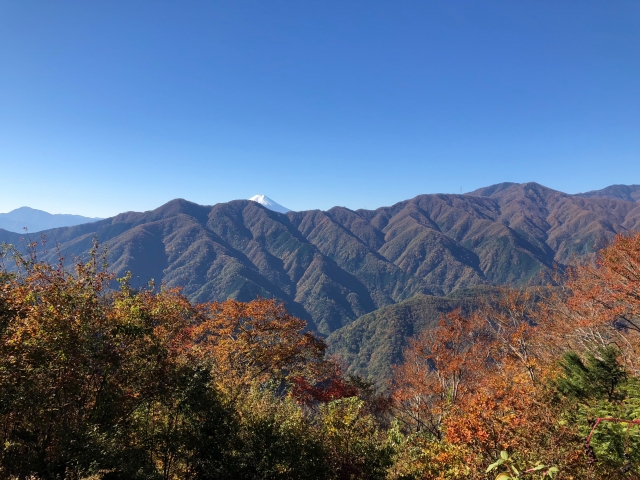 松姫峠登山口から観た富士山（画像・小菅村提供）