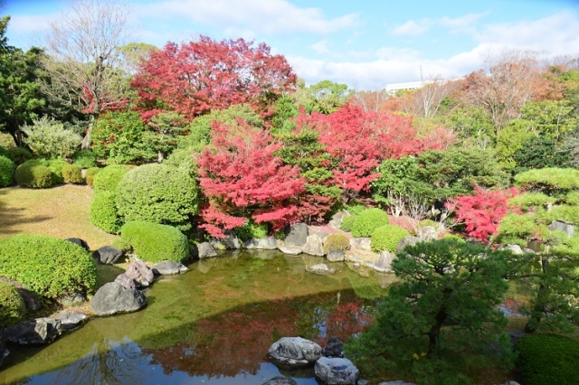 日本庭園　心字池の紅葉