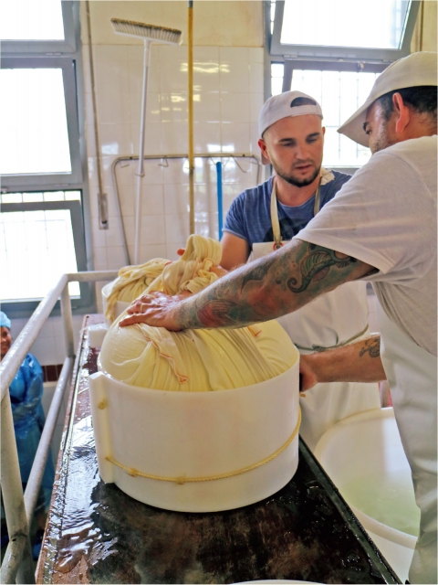 2時間ごとに麻布を交換して、水切りと成型を続ける