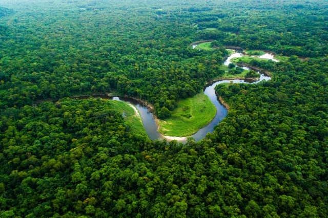 アマゾン河／Amazon River（ブラジル）