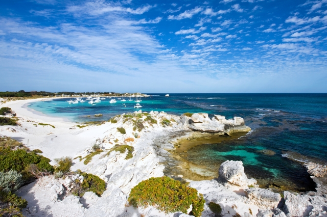 ロットネスト島／Rottnest Island（オーストラリア）