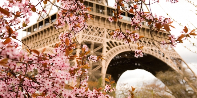 春には桜を見ることもできる ©iStock