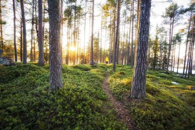 自然豊かなフィンランド ©Michael Matti、Visit Finland