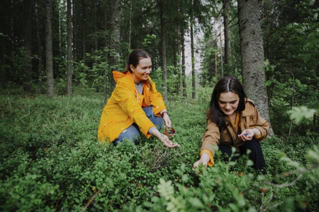 フィンランドの森 ©Visit Finland