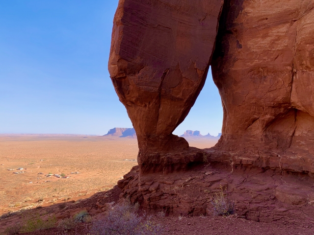 ポストコロナでの地球・アメリカの歩き方