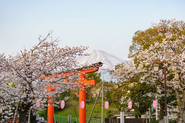 祈りの山「富士山」パワーに触れ、開運スポットを楽しむ