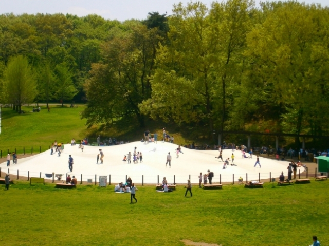 国営武蔵丘陵森林公園について