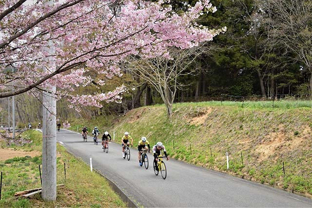 自然豊かな高原エリアへ。山と緑に包まれた里山を巡る